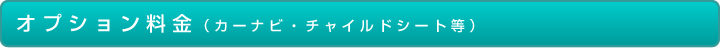 オプション料金(カーナビ・チャイルドシート等)